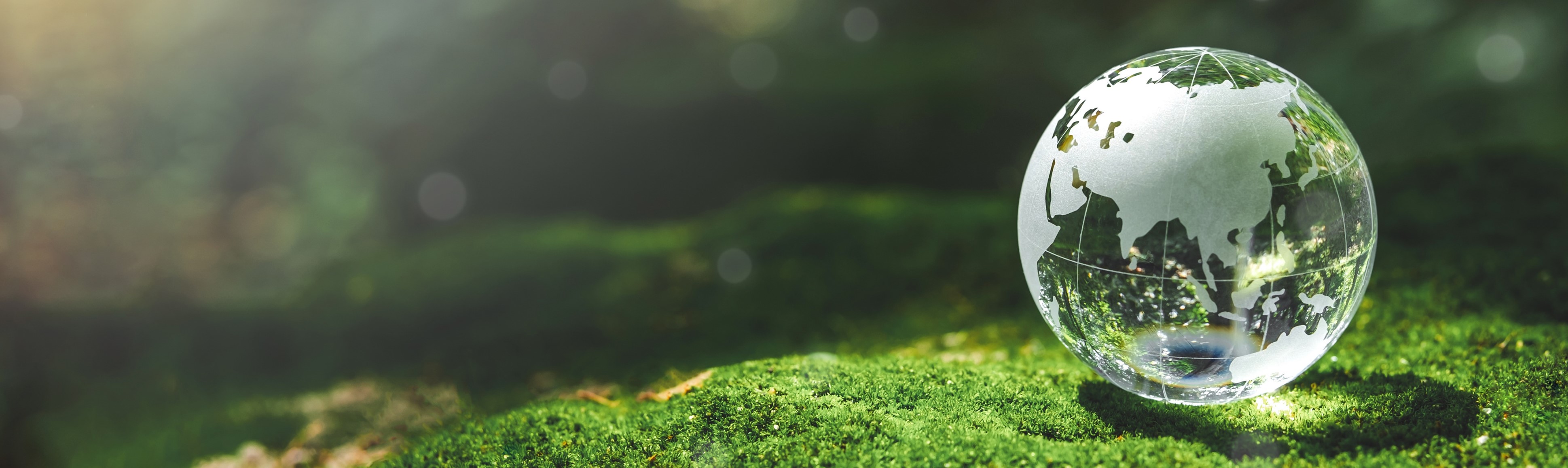 サステナビリティ